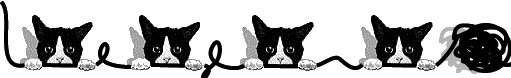 Katze