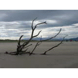 Dindle-Halbinsel + Inch-Strand
