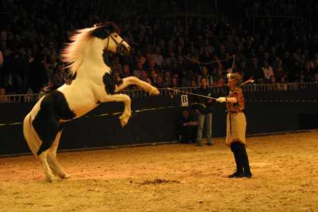 Flash for Fantasy - Internationaler Show-Cup 2003 auf der Equitana in Essen