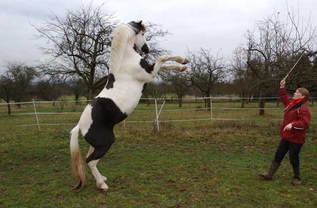 Flash beim Training (2)