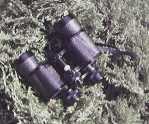 Fernglas